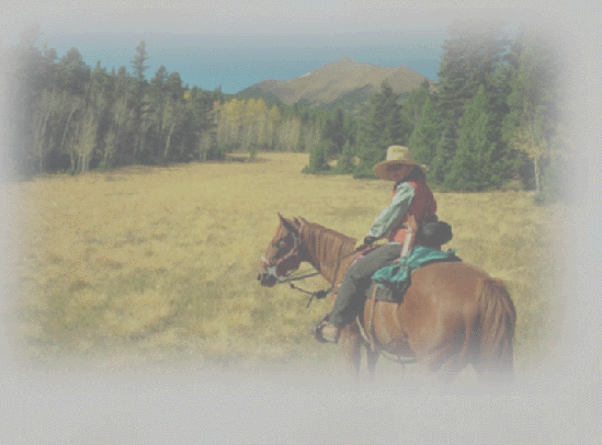 Marty "Riding to Heaven" with her horse "Sonny"