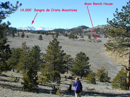 Looking West from near the center of the 170.33 acre property......