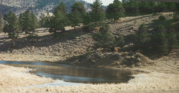 A large Spring fed Pond offers a cool swim.........