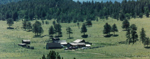 The Ranch is covered with lush Grass and Wildflowers in Spring and Summer..........