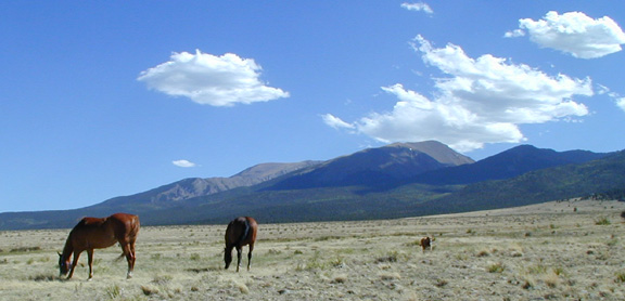 The Horses graze on the 1640 acre - Sierra Mojada Ranch...... 14,064' Mount Humbolt in the background......