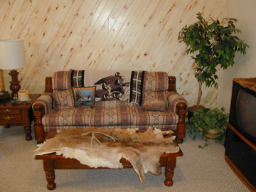 Sitting area on the lower level.........