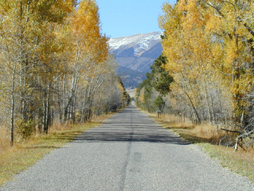 Paved roads lead to Paradise Found........