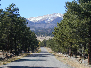 The Southern boundary of the 70 acre property is on the right side of the road in this image........