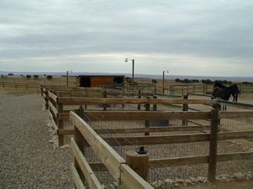 Etensive Corrals and Loafing Sheds make it easy to care for the Horses.........