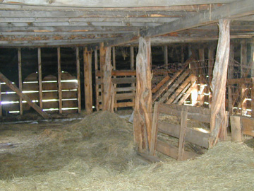 Inside the main Barn the support posts are rubbed smooth from 75 years of Livestock moving around the posts......