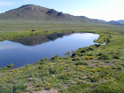 A Pond for Fishing or quiet reflection.........