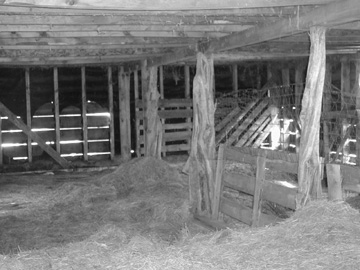 Inside the main Barn...... The support posts are rubbed smooth from 75 years of Livestock using the building.......