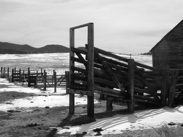 Livestock Loading Ramp......