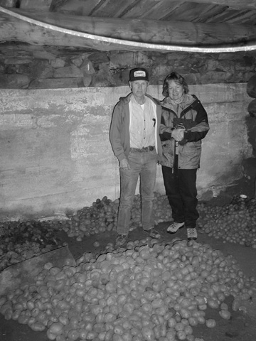 Marty and Mr. Tomsick gather a few potatoes grown on the ranch for dinner from the root celler........