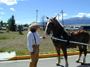 Jim Austin "Horse Whispering"
